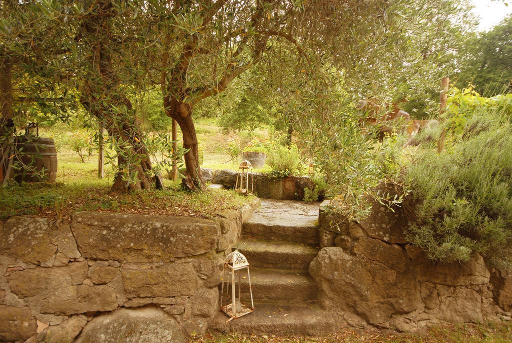 Pieve Di Caminino Historic Farm Villa Podere Caminino Exterior photo